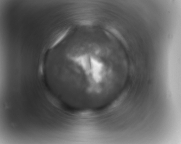 X0000088140068200706041344