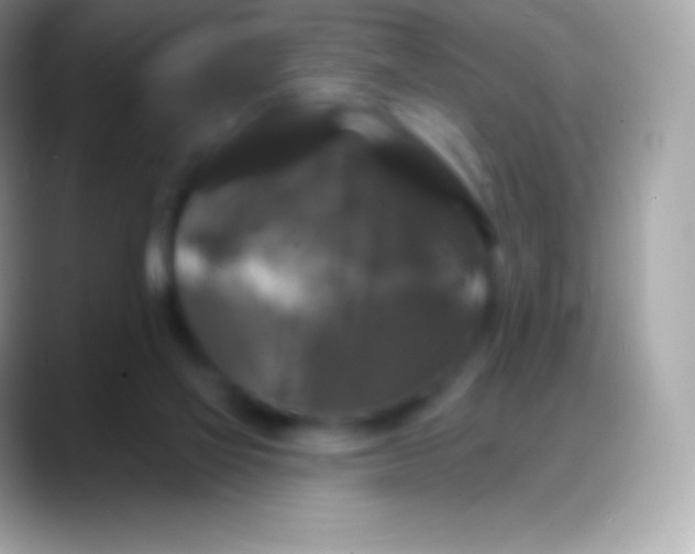 X0000088140069200706041344