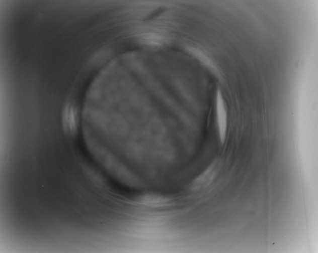 X0000088140070200706041344