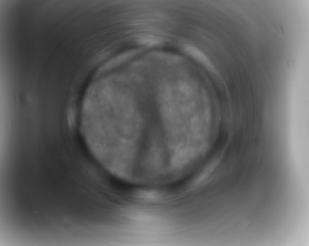 X0000088140071200706041344