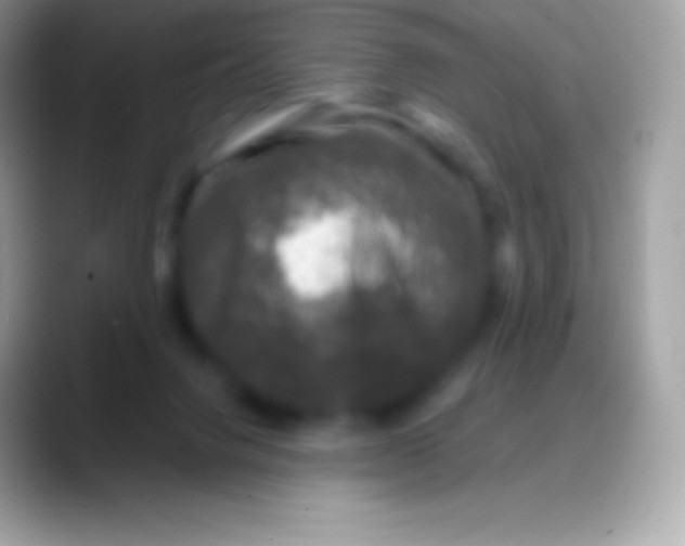 X0000088140072200706041344