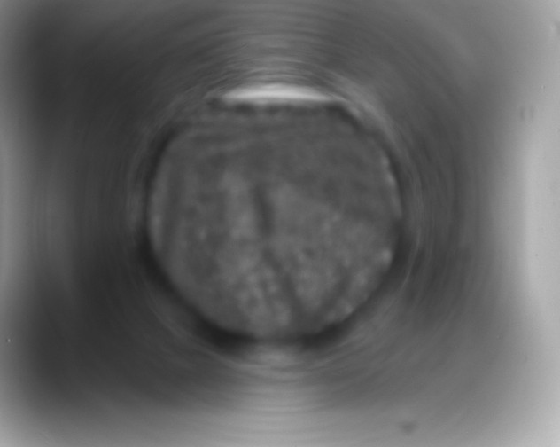 X0000088140073200706041344