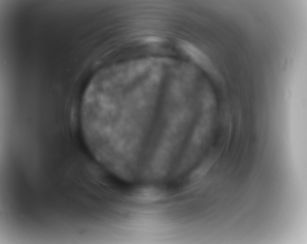 X0000088140074200706041344