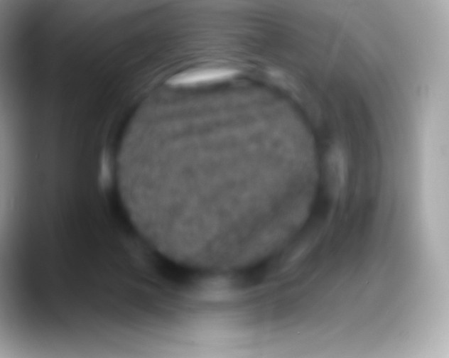 X0000088140075200706041344