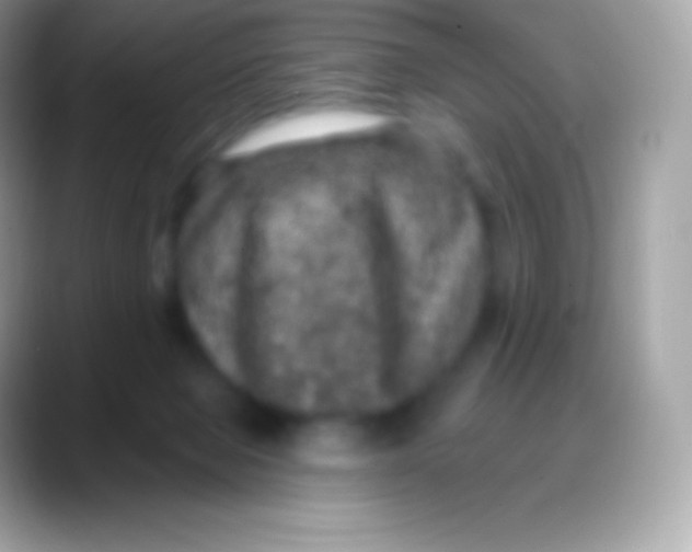 X0000088140077200706041344