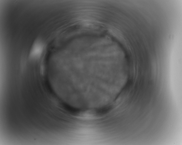 X0000088140078200706041344