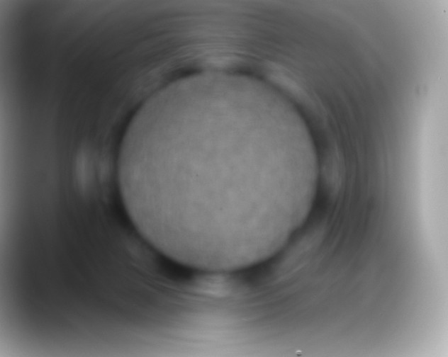 X0000088140079200706041344