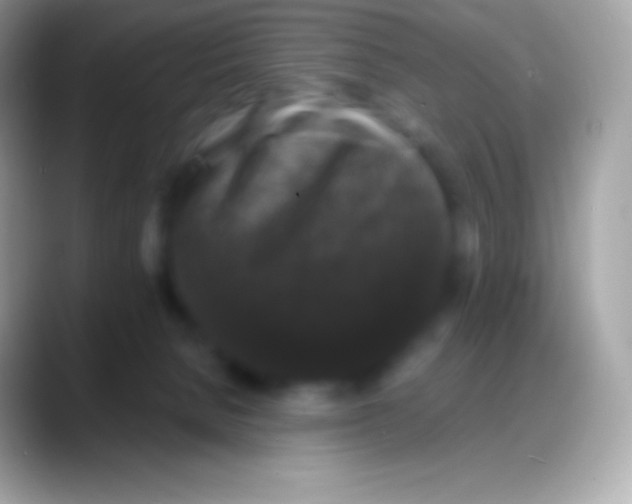 X0000088140080200706041344