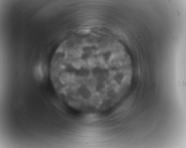 X0000088140081200706041344