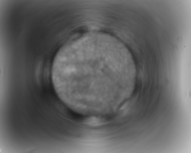 X0000088140082200706041344