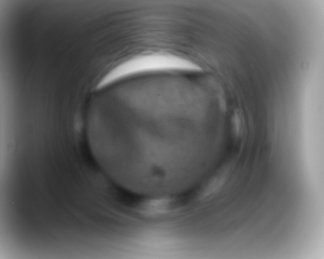 X0000088140084200706041344