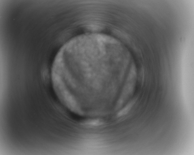 X0000088140086200706041344