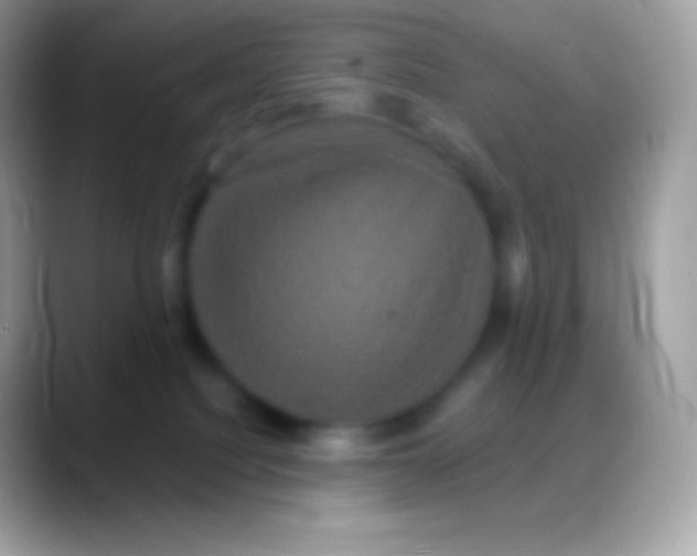 X0000088140088200706041344