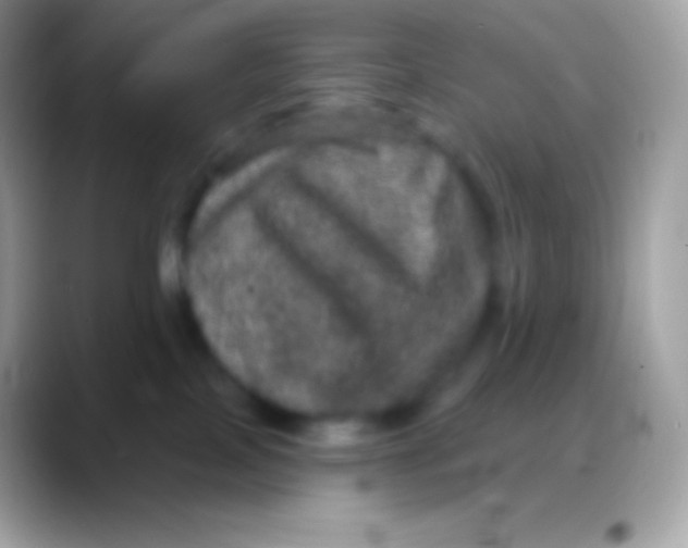 X0000088140089200706041344