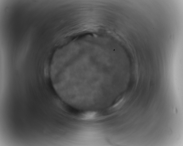 X0000088140090200706041345