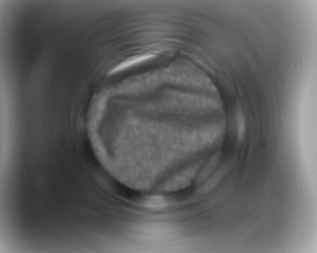 X0000088140091200706041345