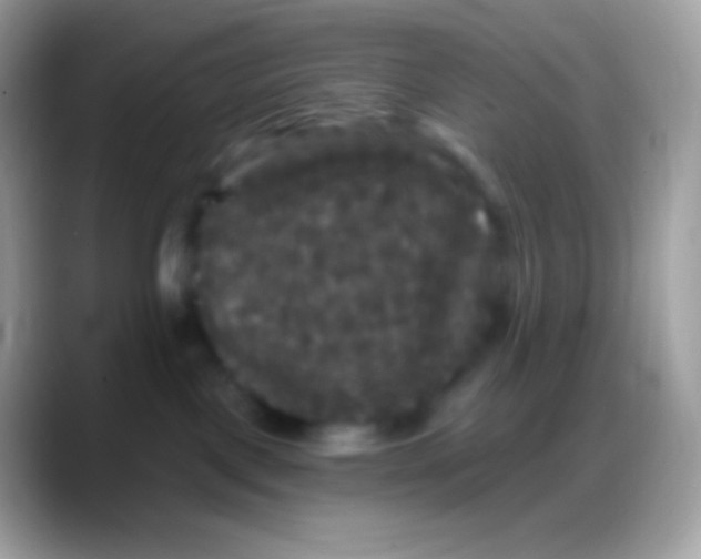 X0000088140093200706041345