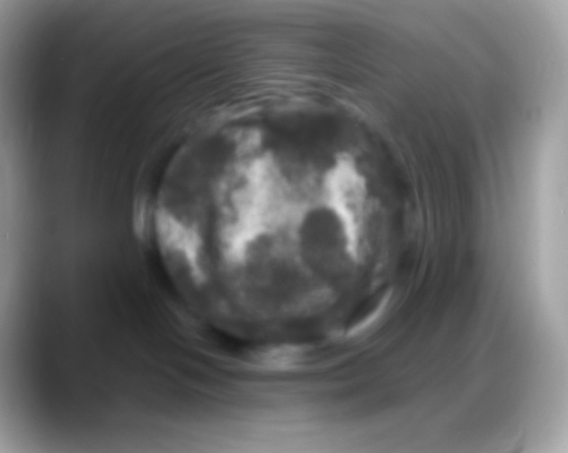 X0000088140094200706041345