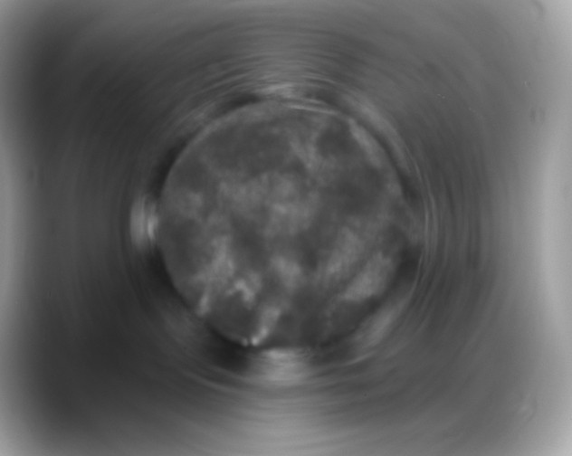 X0000088140095200706041345