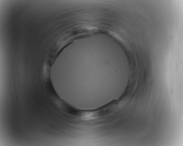 X0000088140096200706041345