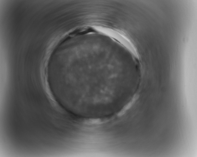 X0000088140097200706041344