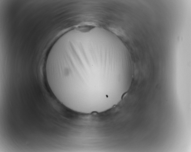 X0000088140098200706041344