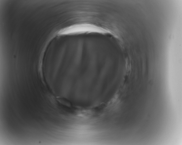 X0000088140099200706041344