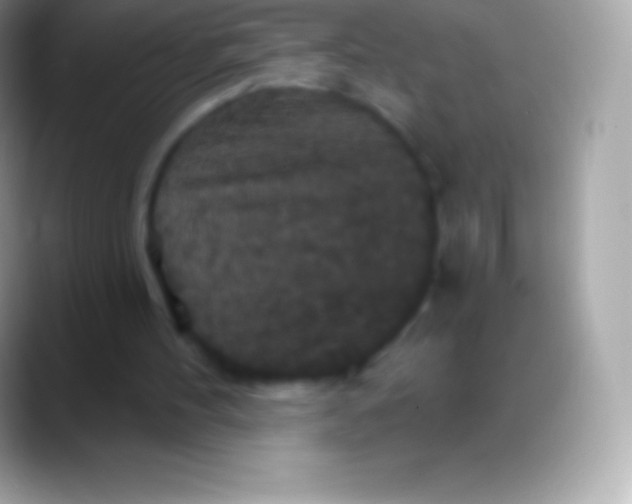 X0000088140100200706041344