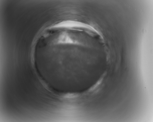 X0000088140101200706041344