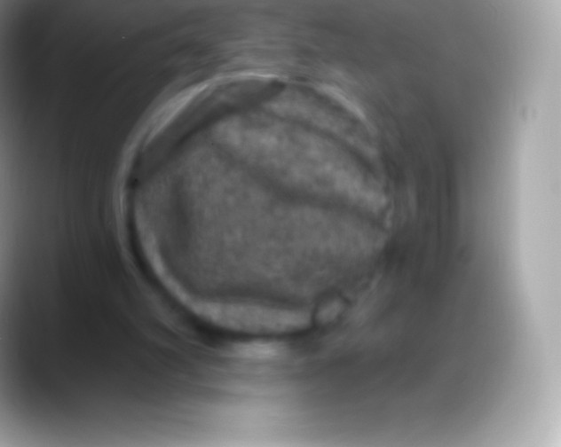 X0000088140102200706041344