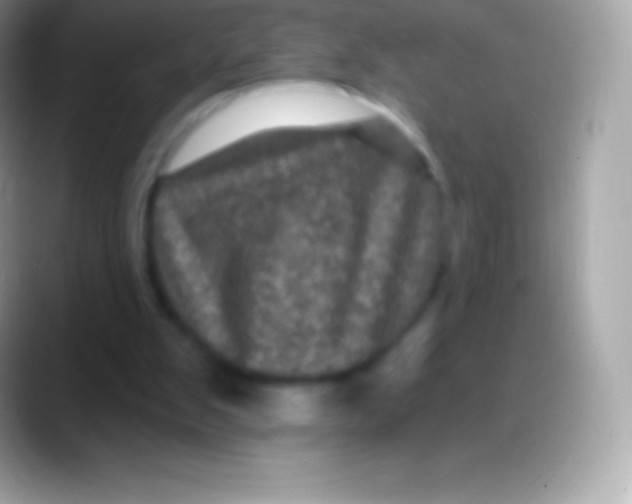 X0000088140103200706041344