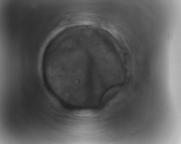 X0000088140104200706041344