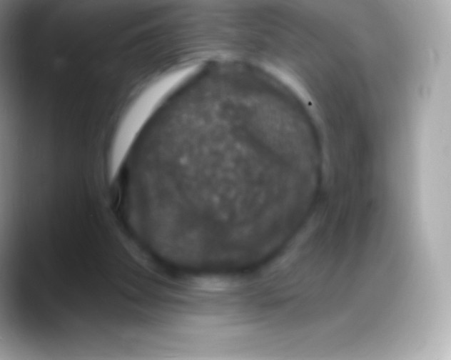 X0000088140105200706041344