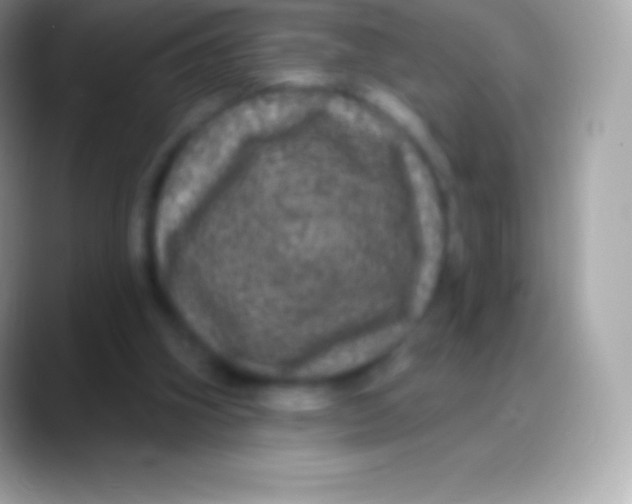 X0000088140106200706041344