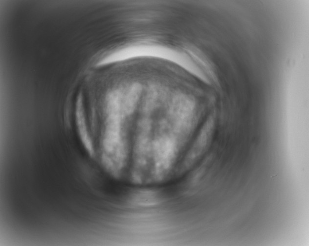 X0000088140107200706041344