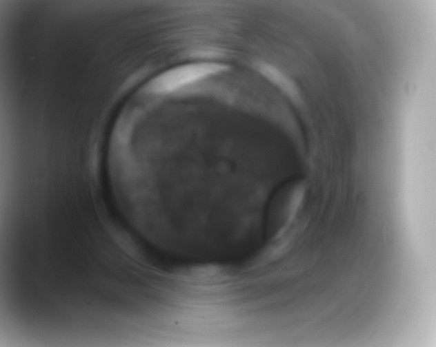 X0000088140108200706041344