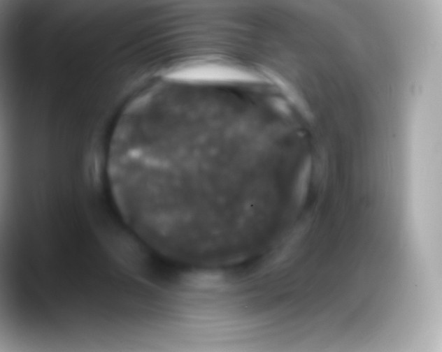 X0000088140110200706041344