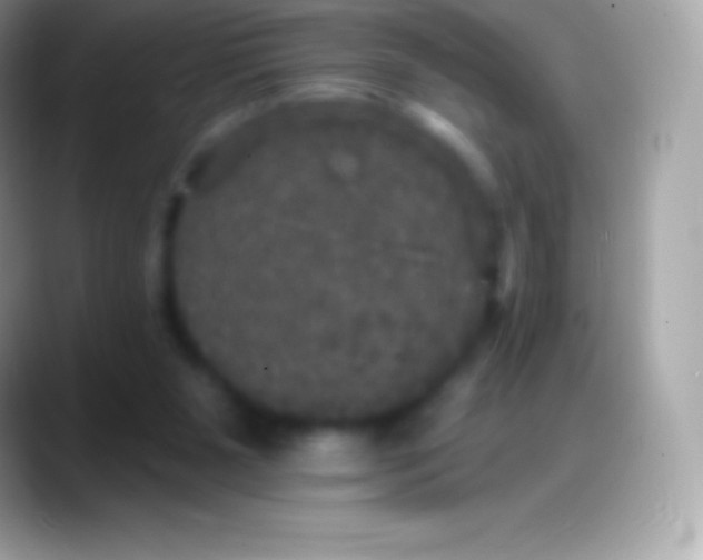 X0000088140111200706041344