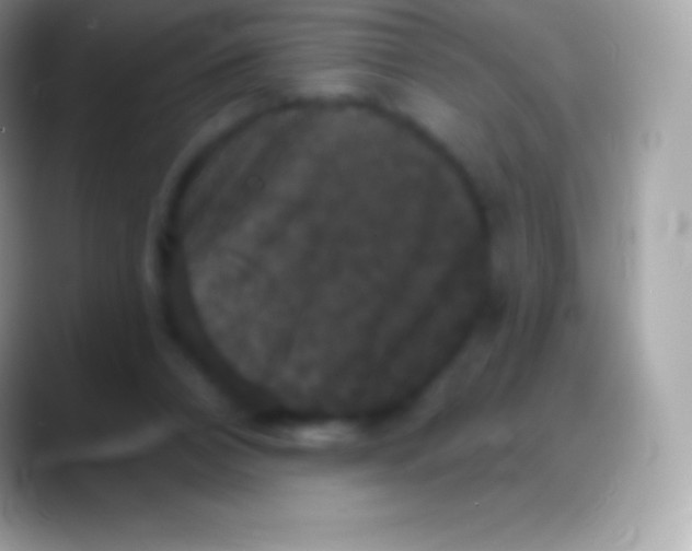 X0000088140112200706041344