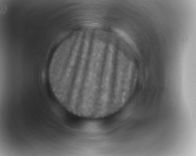 X0000088140115200706041344