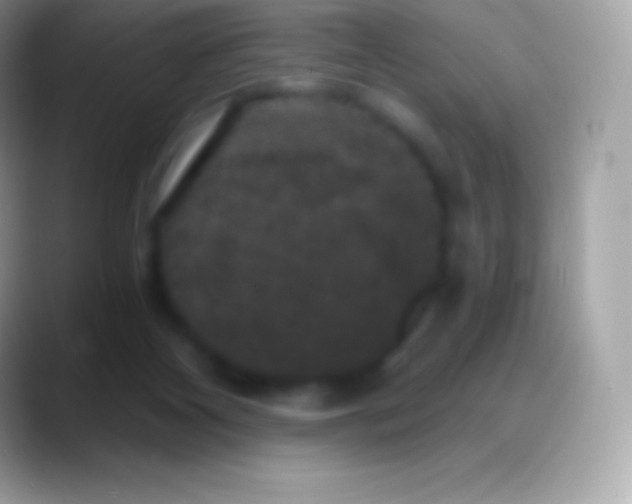 X0000088140116200706041344