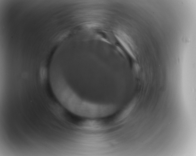 X0000088140117200706041344