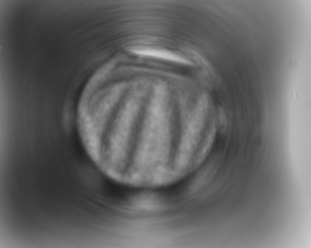 X0000088140119200706041344