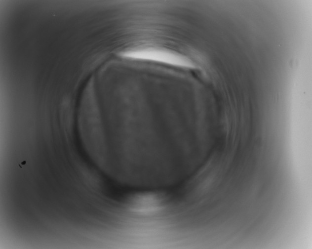 X0000088140120200706041344