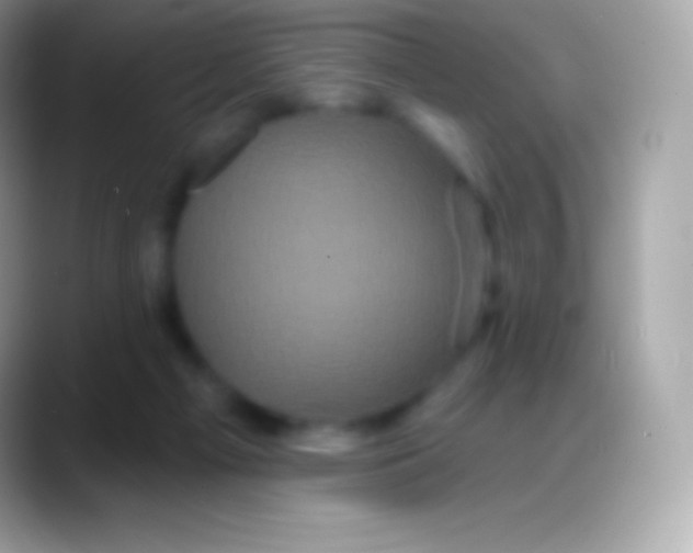 X0000088140121200706041344