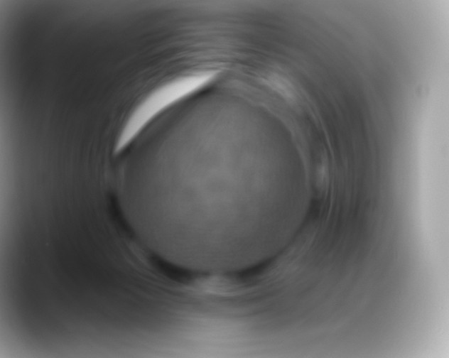 X0000088140125200706041344