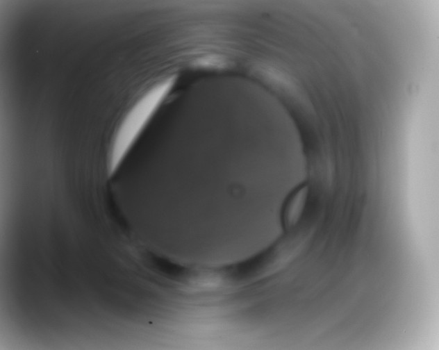 X0000088140127200706041344