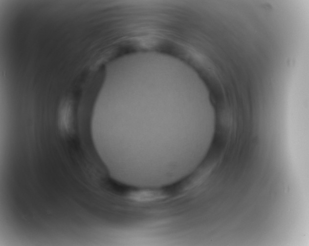 X0000088140129200706041344