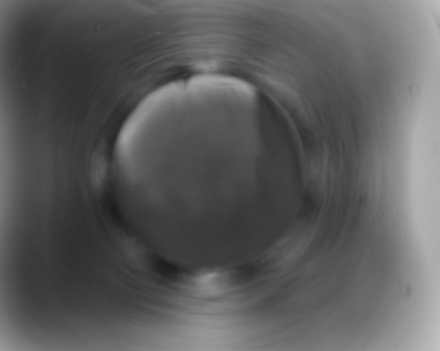 X0000088140130200706041344