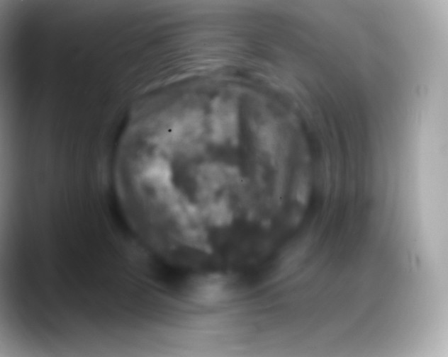 X0000088140131200706041344